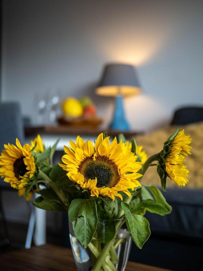 Ferienwohnung Abendsonne Wenningstedt-Braderup Exteriér fotografie